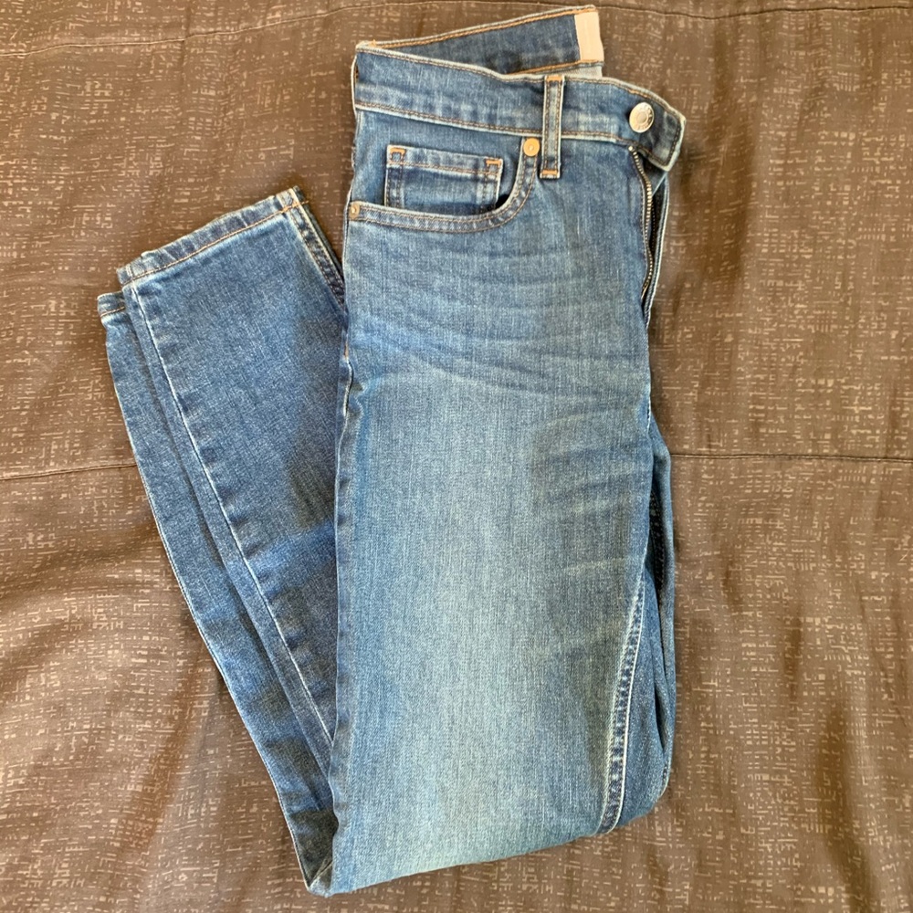 Everlane High Rise Skinny Jeans